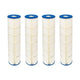Pentair Filter Cartridges R179136 | 4 Pack