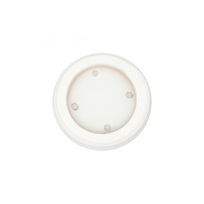 Pentair 1.5" Threaded Plug R22010Z