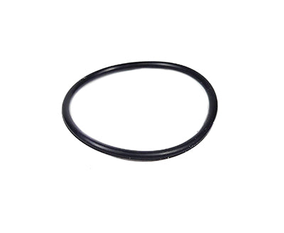 Hayward Union O-ring SPX1495Z1