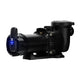 Hayward MaxFlo VS 415 OL with OmniX W3VSP23415
