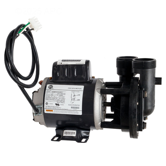 Waterway Uni-Might Pump 3410020-1X86