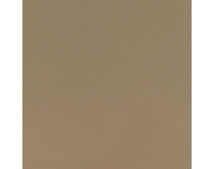 S.R. Smith MultiLift2 Pool Lift