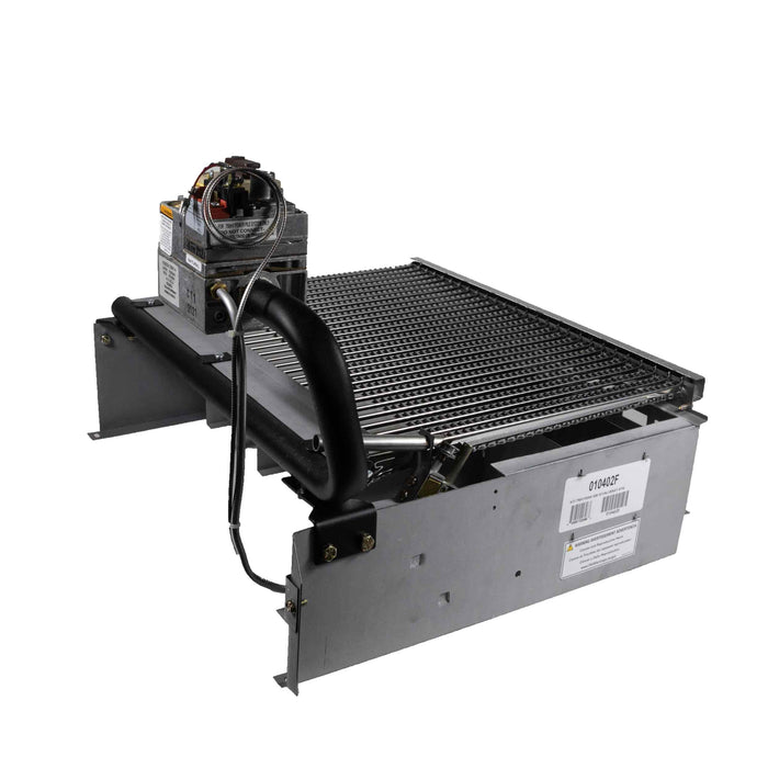 Raypak Digital Burner Tray with Natural Gas Valve Millivolt 010402F