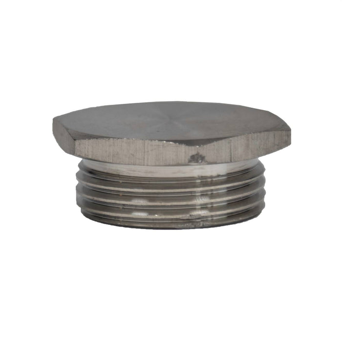 Raypak Pipe Plug 017158F