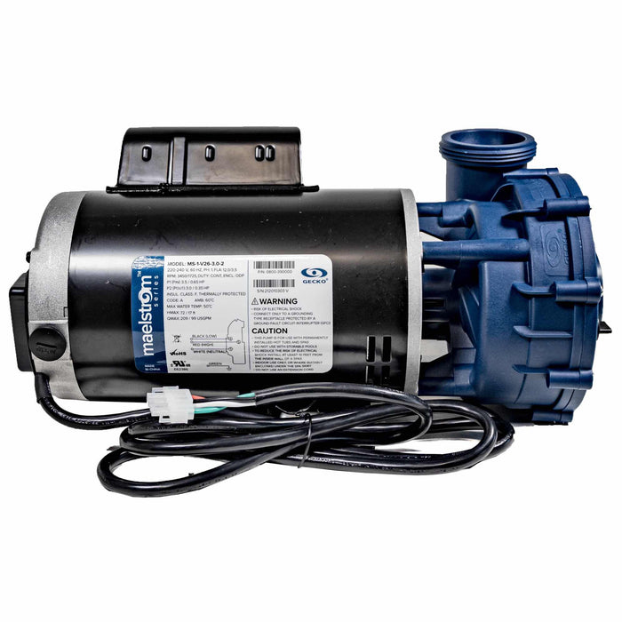 Gecko Maelstrom MS-1 Series Pump 0800-390000