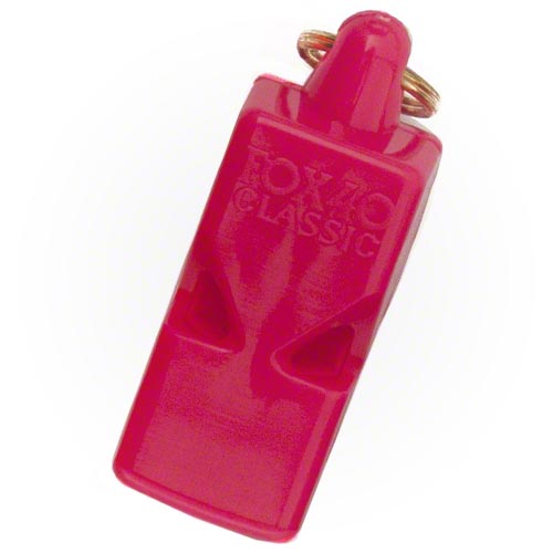 10-421-PIN