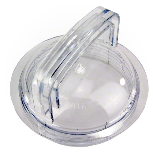 Pentair Pump Lid 355301
