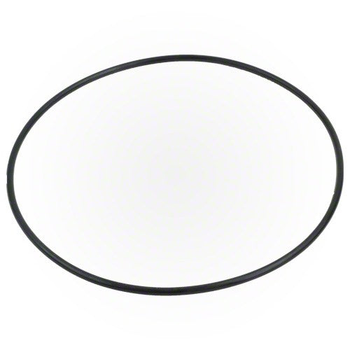 Pentair Valve Top O-ring - Thumbnail 4