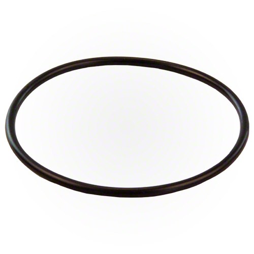 Pentair HiFlow Valve O-ring - Thumbnail 3