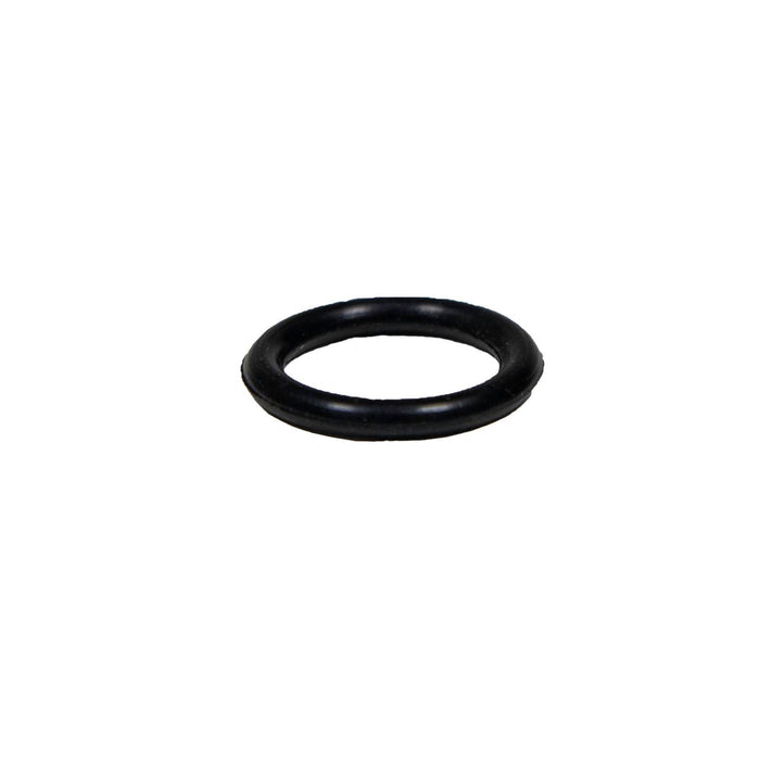 Pentair Drain Plug O-Ring 272573Z