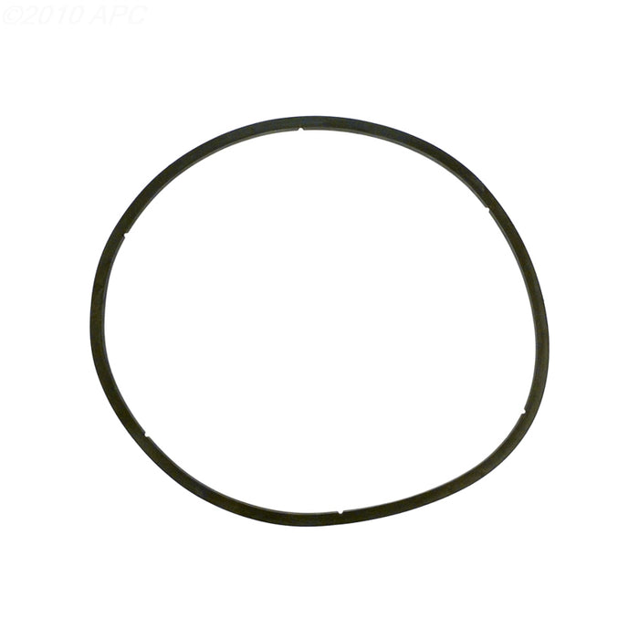Pentair Gasket Lid 350166Z