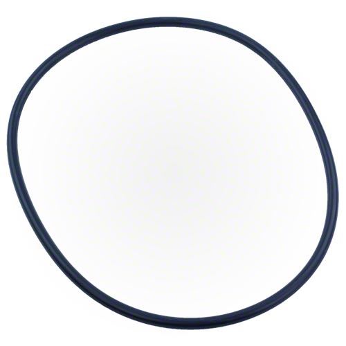 Pentair XF Series Pump Seal Plate O-Ring - Thumbnail 2