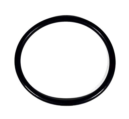 Pentair O-Ring 35505-1425Z