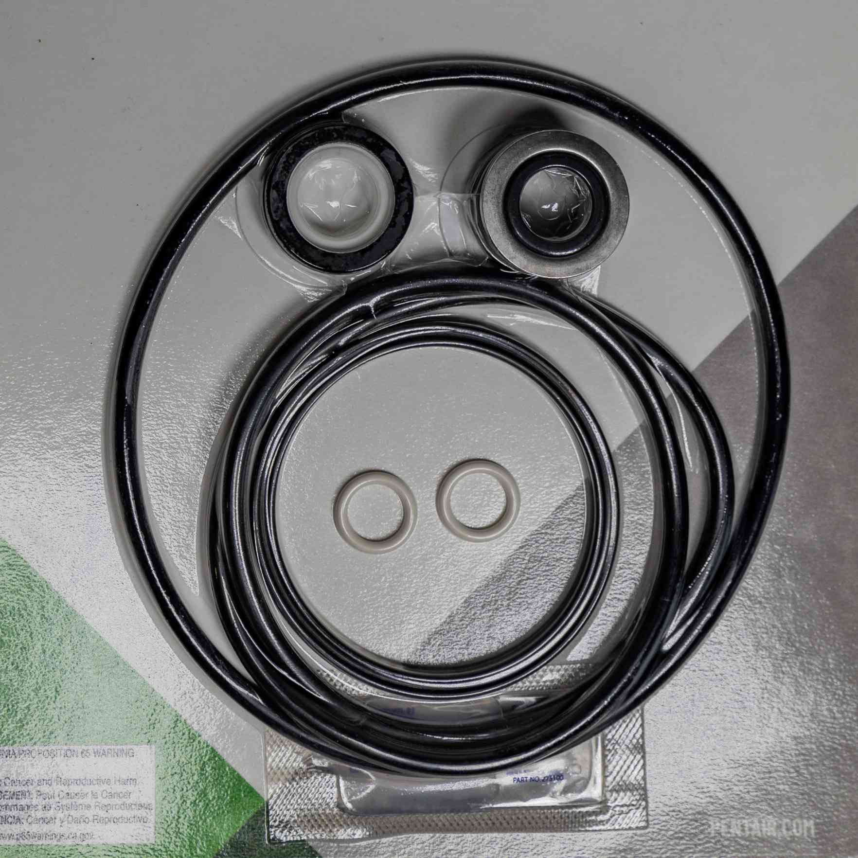 rio　返品用 Pentair Pump Seal Quick Kit 356197 | Pentair 356197 — Sunplay