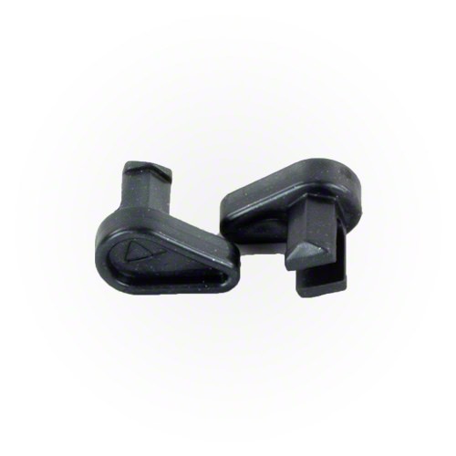 parent