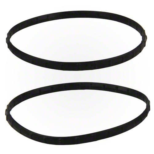 Pentair Union Diamond Seal Kit - Thumbnail 2