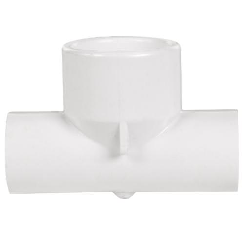 parent