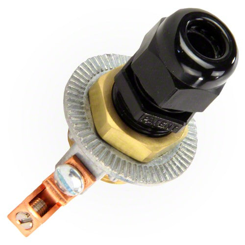 parent