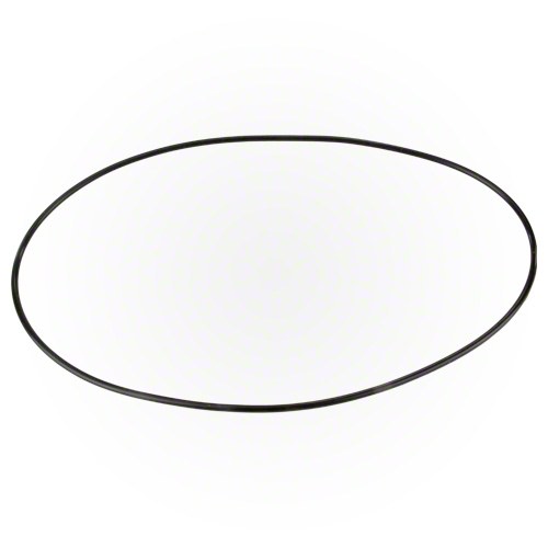 Pentair Chemical Container Lid O-ring
