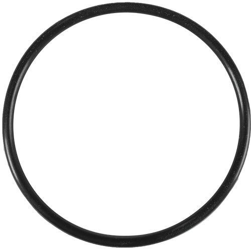 Pentair 2" Union Assembly 523122