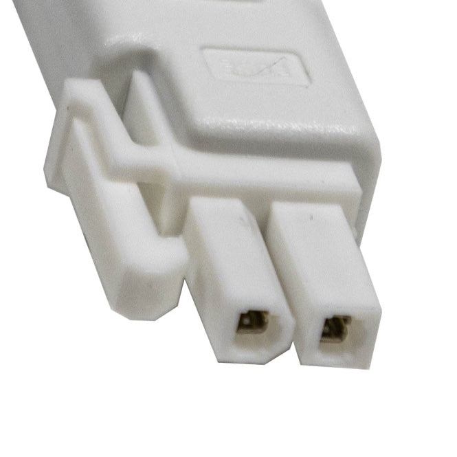Pentair Fuse 620276