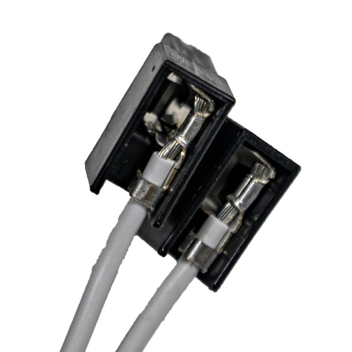 Pentair Fuse 620276