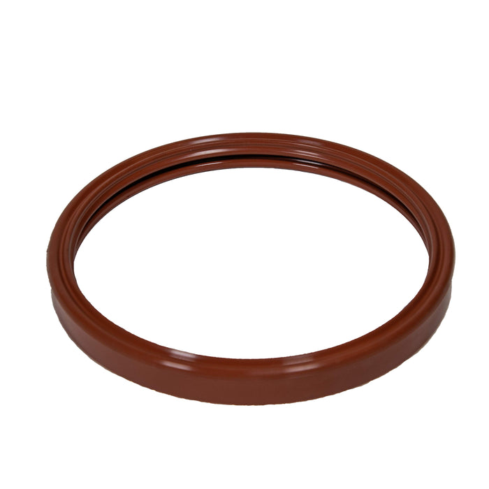 Pentair Light Gasket 620400Z