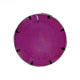 Pentair Purple Snap-On Lens 650016