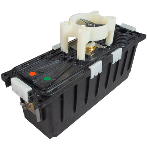 Dolphin Motor 9995384-EX