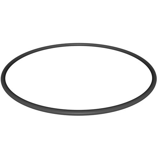 Hayward Filter Head O-Ring CX900F