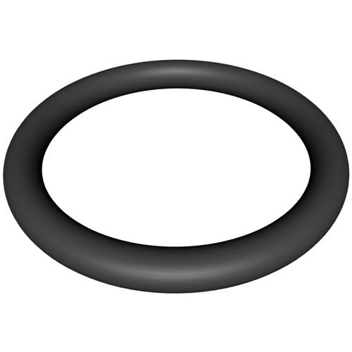 Hayward Locking Knob O-Ring CX900H
