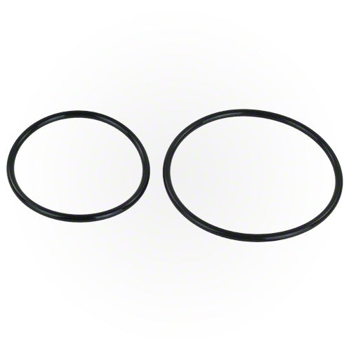 Hayward O-Ring Kit DEX2420Z8A | Hayward DEX2420X8A — Sunplay