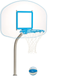 Dunn Rite Regulation Clear Hoop Basketball Set