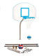 Dunn Rite Regulation ClearHoop and Volleyball Combo