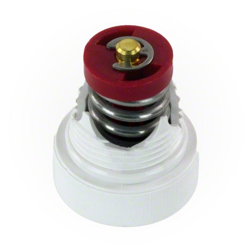 Pentair Pressure Relief Valve for Wall Fitting E25 | Pentair E25 — Sunplay