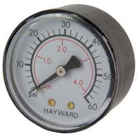 Hayward EasyClear Filter Parts