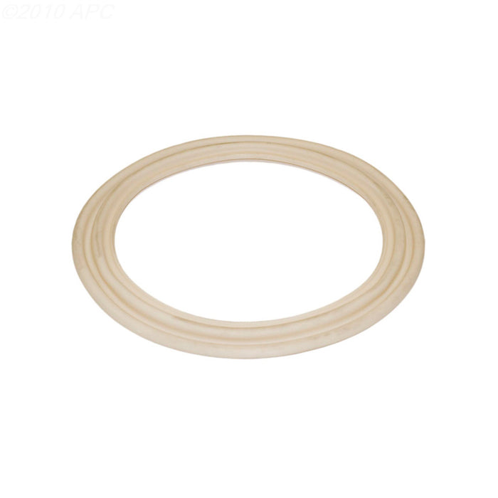 Hayward Diaphragm Gasket ECX5000G