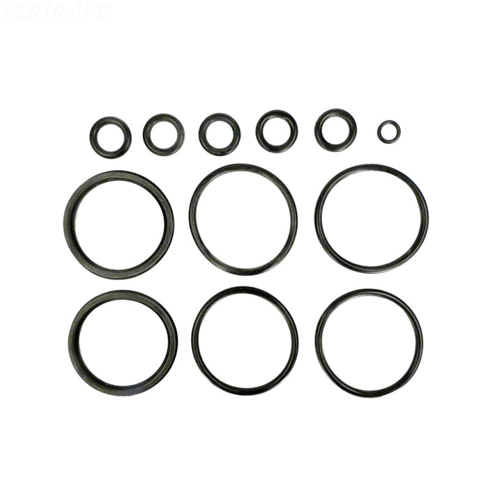 Hayward Head O-Ring Kit FDXLFOR1930