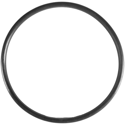 Aladdin O-Ring O-318