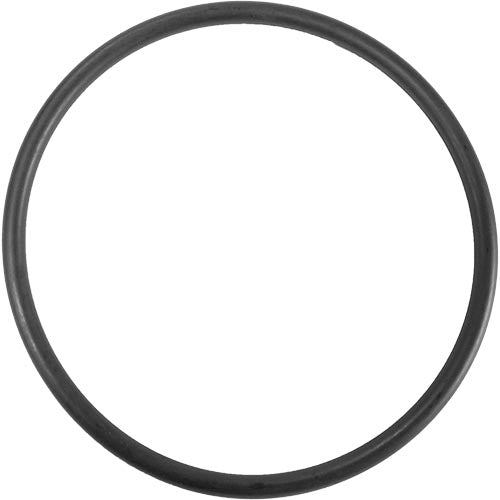 Aladdin O-ring O-384