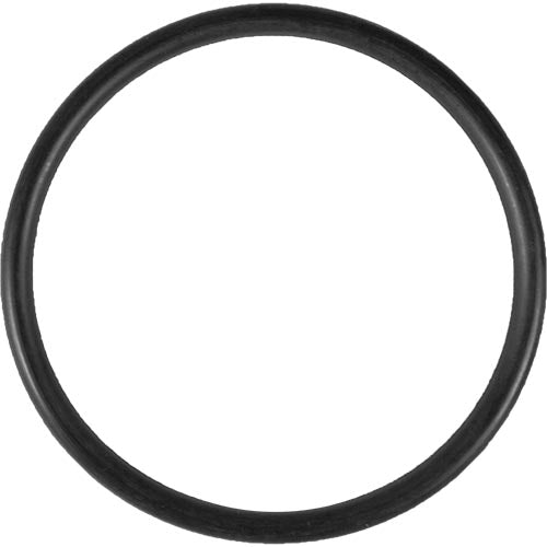 Aladdin O-Ring O-49