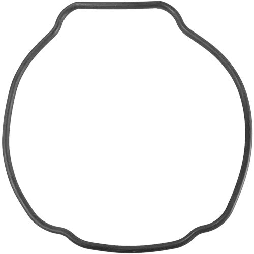 Aladdin O-Ring O-529