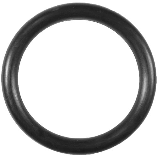 Aladdin O-Ring O-71