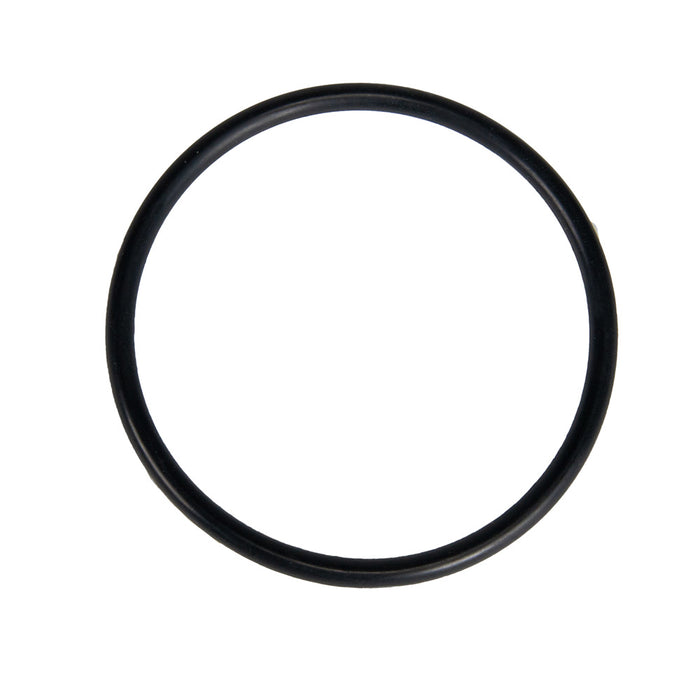 Jandy O-Ring R0622000