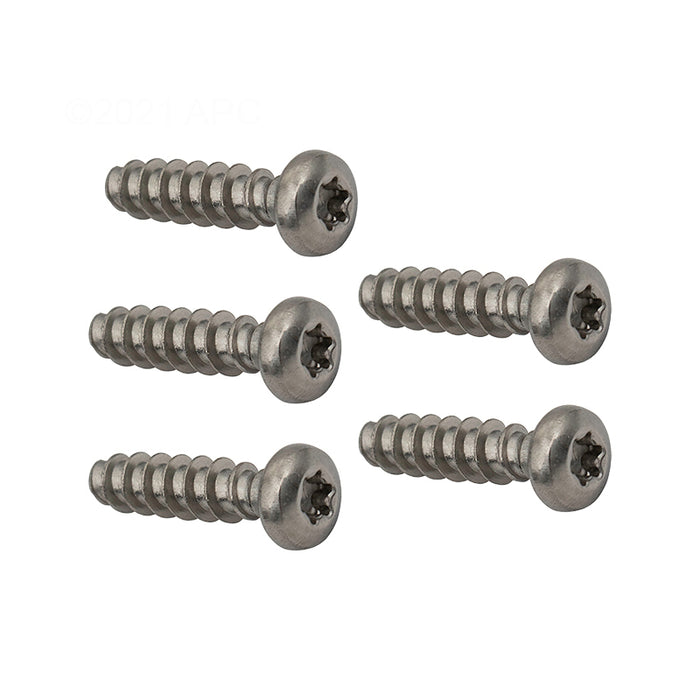 Hayward Screw MSX20 RCX12011