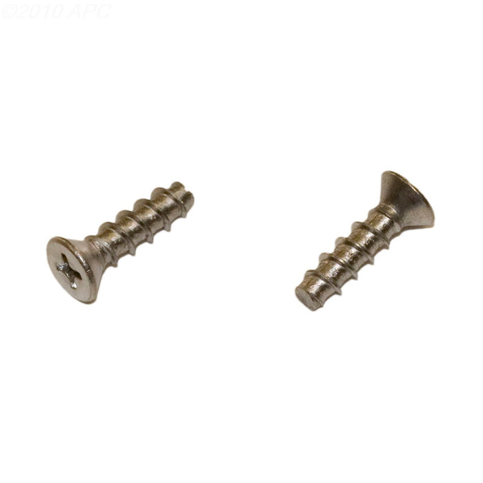 Hayward Face Plate Screw - Set of 2 - SPX1425Z32