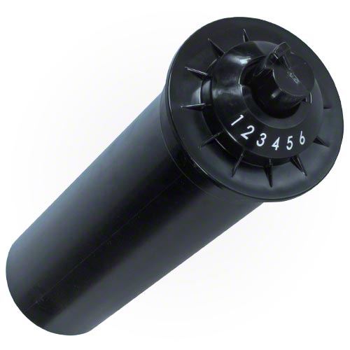 parent